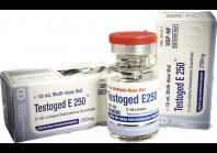 Testoged E250 Golden Dragon Testoged E250 Golden Dragon