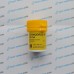 Stanadrol-10 Lyka Labs